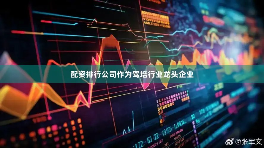 配资排行公司作为驾培行业龙头企业
